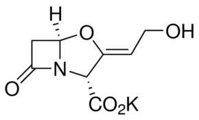 Potassium clavulanate