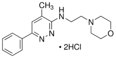 Glutarate Standard for IC