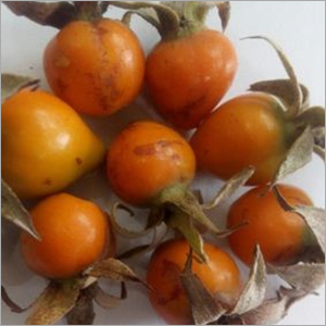 Rosehip extract vitamin C