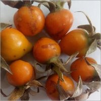 Rosehip extract vitamin C