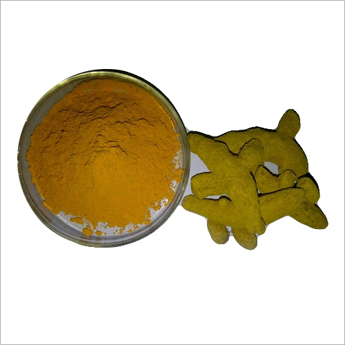 Powder Turmeric Extracts