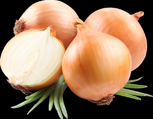 Brown Onion
