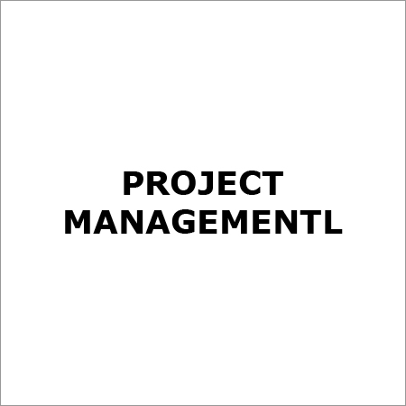Project Management Services