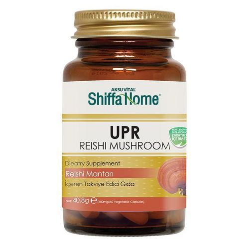 Reishi Mushroom Capsule