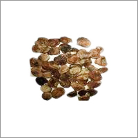 Bhilawa Seeds