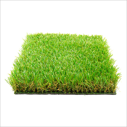 Grass Carpet
