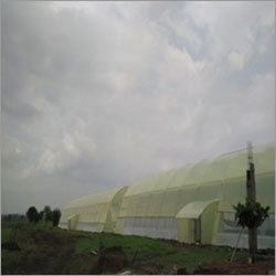 Naturally Ventilated Green House