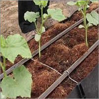 Hydroponic Trough System