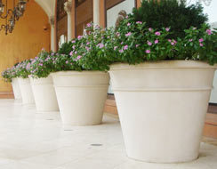 GRC PLANTER