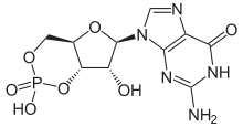 Guanosine 3:5-cyclic monophosphate