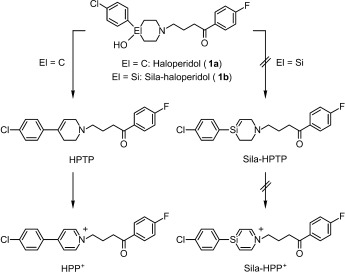 Haloperidol metabolite II