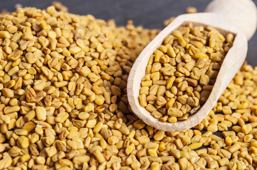 Yellow Fenugreek Seeds Grade: Food Grade
