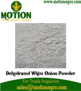 Dehydrated White Onion Powder