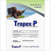 Tropex-P Eye Drop