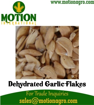 Dehydrated Garlic Flakes / Cloves
