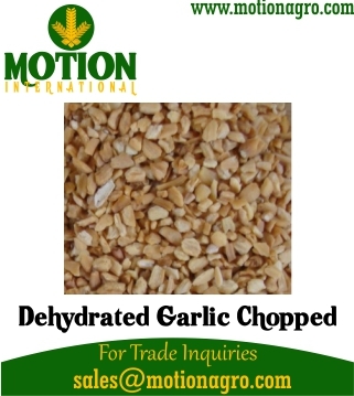 Dehydrated Garlic Chopped