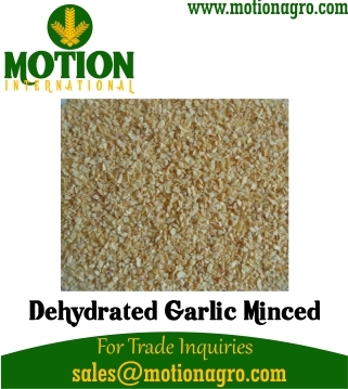 Dehydrated Garlic Minced