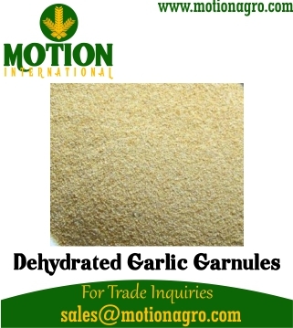Dehydrated Garlic Granules