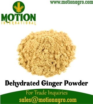 Dehydrated Ginger Powder