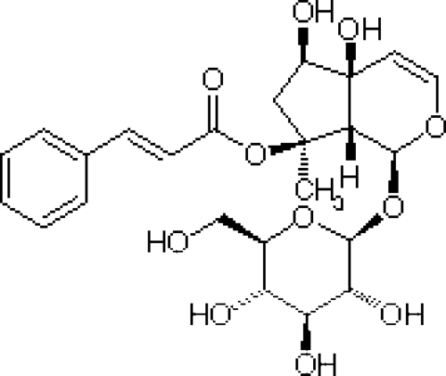 Harpagophytum Procumbens Extract