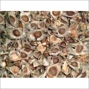 Moringa Seeds