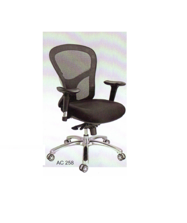 Executives Mesh Chair - Breathable Mesh Backrest for Optimal Heat and Moisture Control | Ergonomic Design for All-Day Comfort