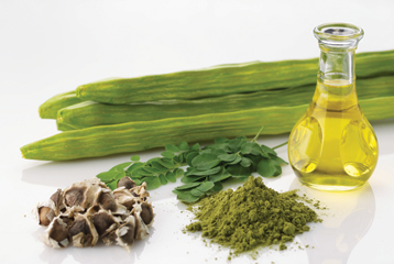 Moringa Products