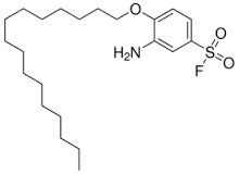 Hepatitis A virus Coating Reagent for ELISA - BRR