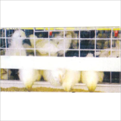 Poultry Cages