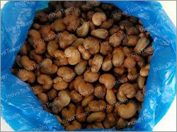 Brown Cashew Nut