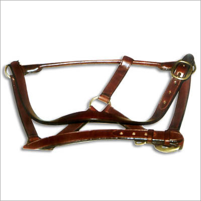 Leather Halter