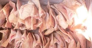 Pork ear