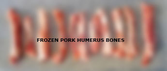 Frozen Pork humerus bones