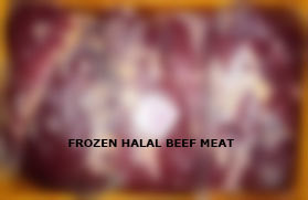 Frozen Halal Beef Meat