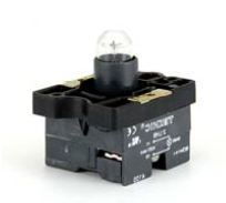 ILLUMINATED MOMENTARY ACTUATORS WITH BULB