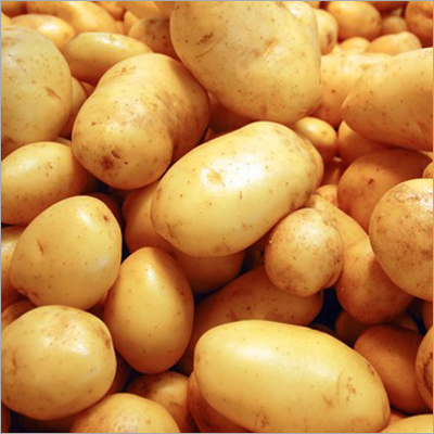 Fresh Potato Moisture (%): 0.5%