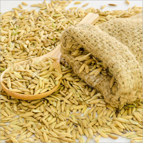 Paddy Wheat Broken (%): 0.1%