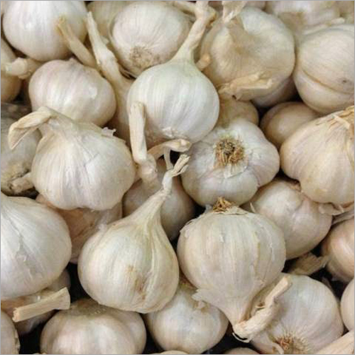 Fresh Dry Garlic - Solid Form White Color Long Shelf Life of 12 Months | Appetizing Taste Rich Source of Vitamins Advanced Packaging for Freshness