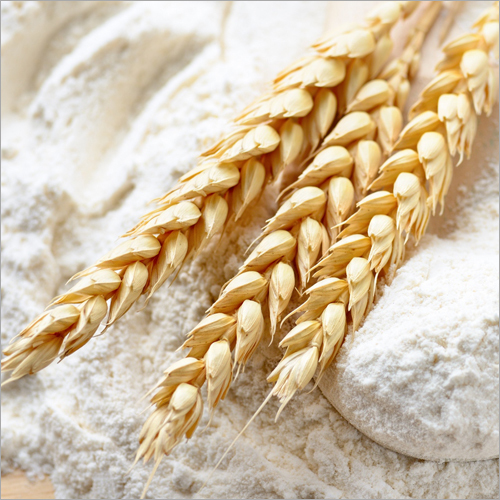 Wheat Flour - Organic Hard Red Winter, Yellow Color, 100% Purity | High Nutritional Value, Long Shelf Life, Rich Taste