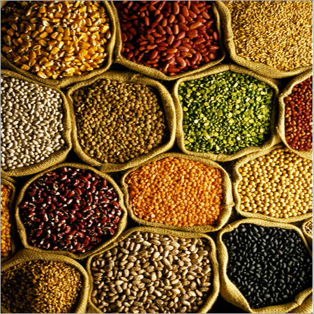 Common Yellow Pulses