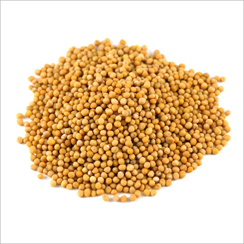 Mustard Seeds