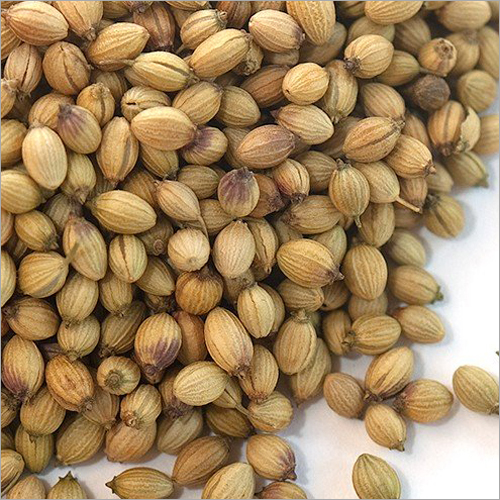Coriander Seeds