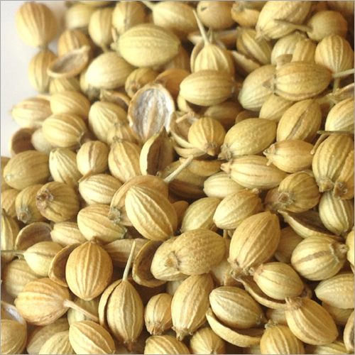 Coriander Seeds