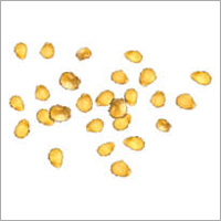 Tomato Seeds