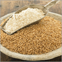 Wheat Flour