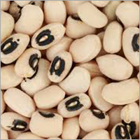 Black Eyed Bean Black Eyed Bean