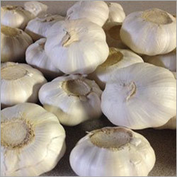 White Fresh Garlic