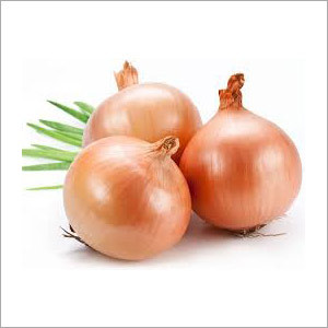 Yellow Onion