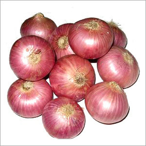 Onion