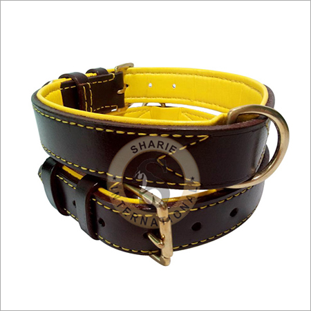Dog Collars And Leads
